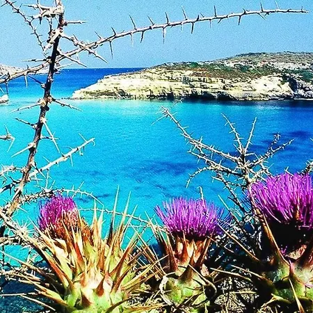 Appartement Rosamarina Lampedusa